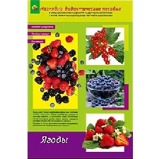 ПРОФ-ПРЕСС. КАРТОЧКИ ДИДАКТИЧЕСКОЕ ПОСОБИЕ А4