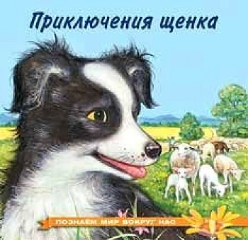 ФЛАМИНГО. ПМВН. Приключения щенка