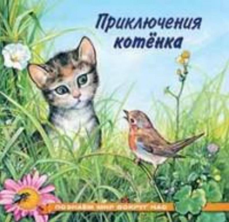 ФЛАМИНГО. ПМВН. Приключения котенка