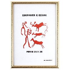 Рамка пластиковая 21*30 KLERK/Рамка Профиль 231552/2182/509 золото
