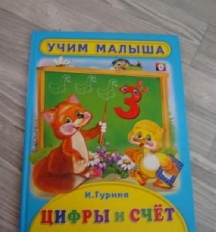 ФЛАМИНГО. УЧЕБНИК ДЛЯ МАЛЫШЕЙ. Учим малыша. Цифры и Счет А4