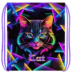 МО-27-1 Geometric cat - мешок для обуви 1 отделения , 410х490 мм