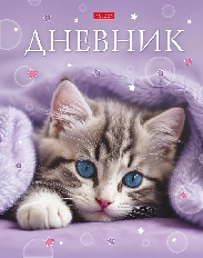 Дневник для 1-11кл. 40л А5ф тв.переплет ламинация Soft-touch -Замурчательное настроени