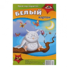 Картон белый А4, 5л. в ПЭТ