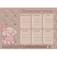 Расписание уроков А4 КОКОС Мальтипу 261904