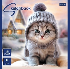 "Premium" Блокнот SketchBook 40л А5ф 165х165мм без линовки 100г/кв.м на скобе Обл. мел.картон мат.ла