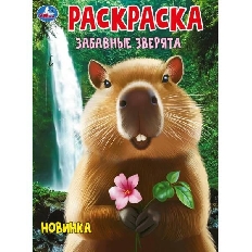 УМКА.  Раскраска. 214х290  мм. Любимы питомцы.  Скрепка. 16 стр.