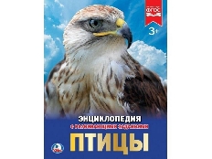УМКА. ЭНЦИКЛОПЕДИЯ А4 7БЦ. ПТИЦЫ  БУМАГА МЕЛ., 48 стр., 197Х255 ММ. в кор.15шт