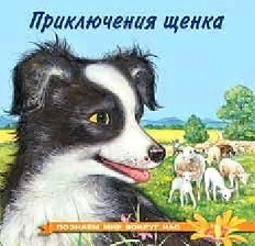 ФЛАМИНГО. ПМВН. Приключения щенка