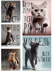 Тетрадь КЛЕТКА 96л.КОТИКИ И НАДПИСИ (96-8847)(цв.мелов.обл.),5 диз в сп,лен+серебро