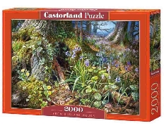C-200764 Лесная поляна,  2000 деталей Castor Land