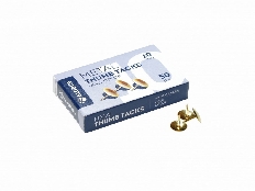 Кнопки канцелярские 10 мм, 50 шт. золотистые К10-50З